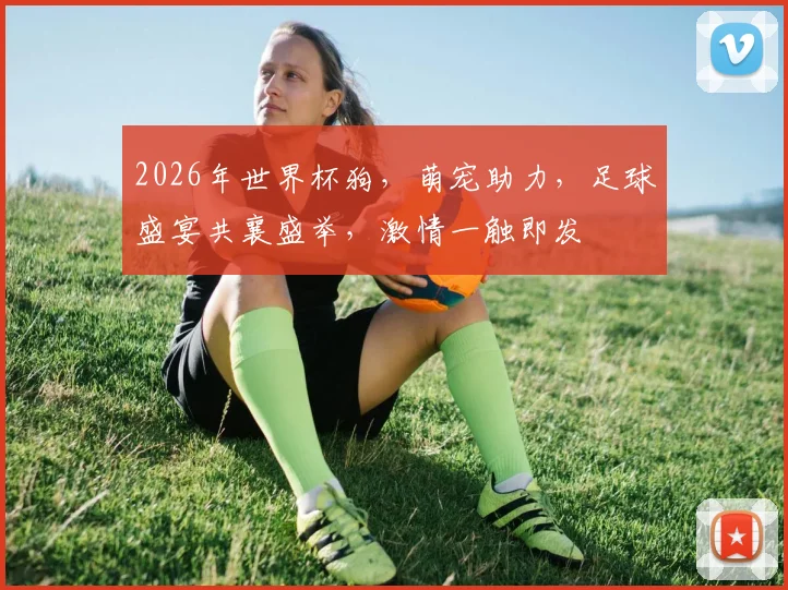 2026年世界杯狗，萌宠助力，足球盛宴共襄盛举，激情一触即发