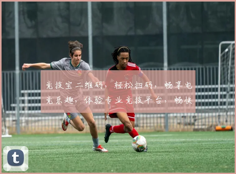 竞技宝二维码，轻松扫码，畅享电竞乐趣，体验专业竞技平台，畅快竞技之旅，必选之选