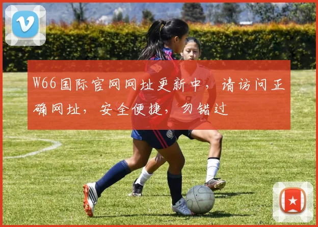 W66国际官网网址更新中，请访问正确网址，安全便捷，勿错过