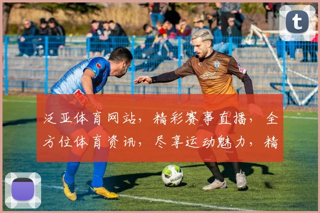 泛亚体育网站，精彩赛事直播，全方位体育资讯，尽享运动魅力，精彩不容错过