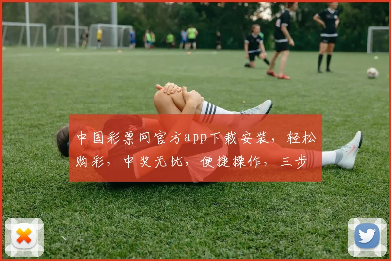 中国彩票网官方app下载安装，轻松购彩，中奖无忧，便捷操作，三步到位，快来体验